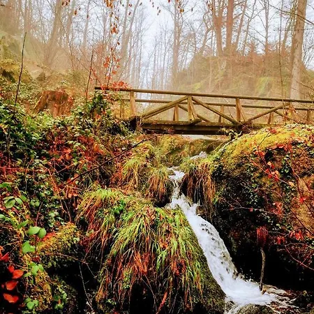 Διαμέρισμα Black Forest - Hirschperle Sasbachwalden