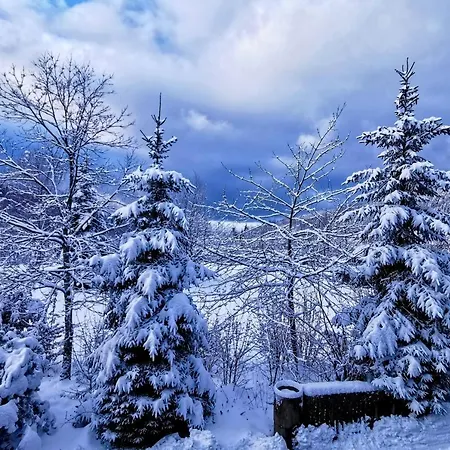 Black Forest - Hirschperle Apartamento