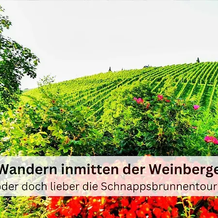 Daire Hirschperle Maisonette Mit Terrasse & Hallenbad