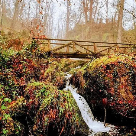 דירה Black Forest - Hirschperle *